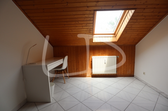 IMG_9210 - Copie.JPG